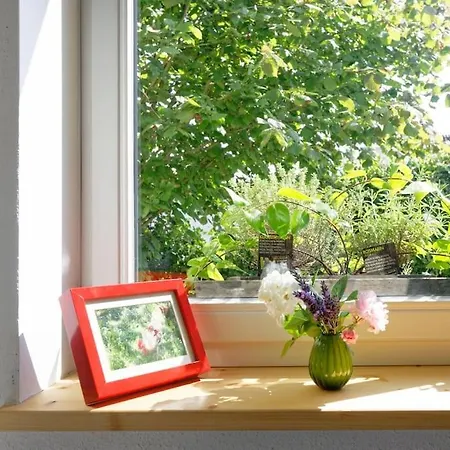 Apartment Gute Lage, 3 Raeder, Gruen, Familien