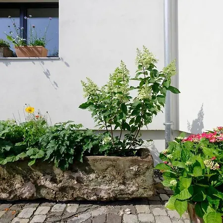 Gute Lage, 3 Raeder, Gruen, Familien Apartment Trier