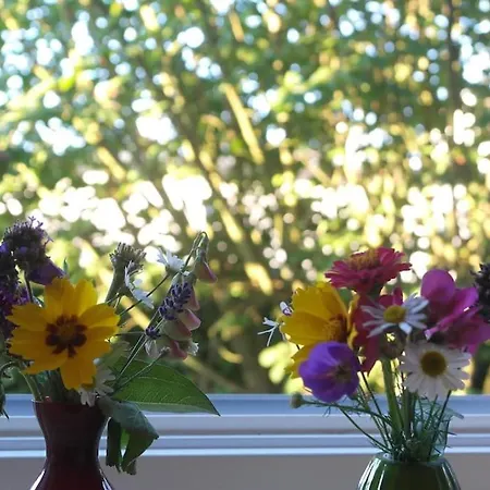 公寓 Gute Lage, 3 Raeder, Gruen, Familien *