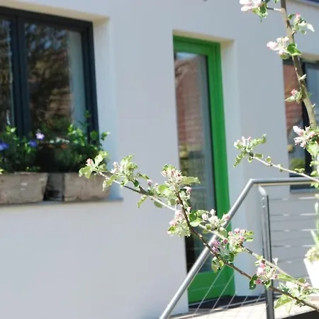 Apartamento Gute Lage, 3 Raeder, Gruen, Familien Trier