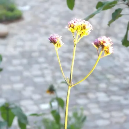 Gute Lage, 3 Raeder, Gruen, Familien *