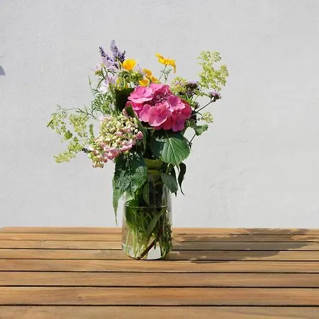 Gute Lage, 3 Raeder, Gruen, Familien * 特里尔