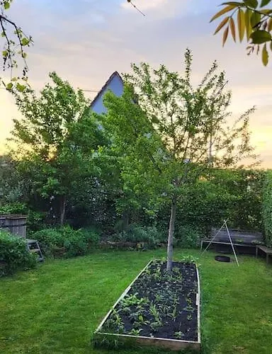 Apartment Gute Lage, 3 Raeder, Gruen, Familien