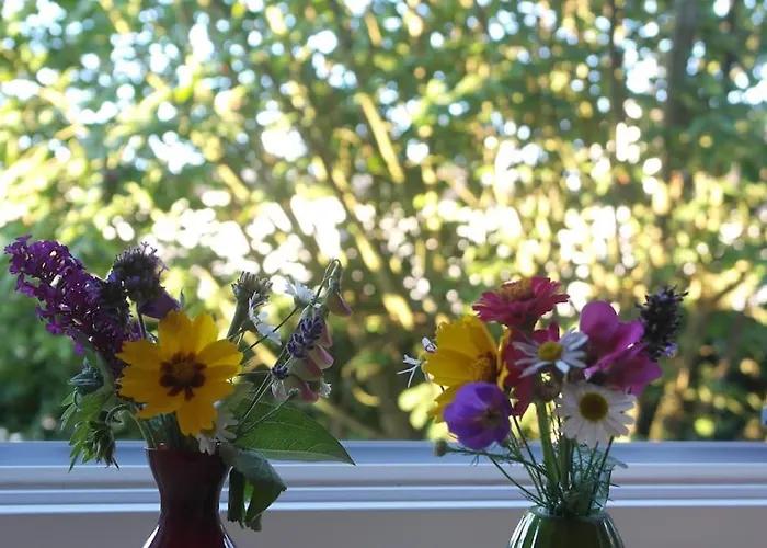 Apartment Gute Lage, 3 Raeder, Gruen, Familien *