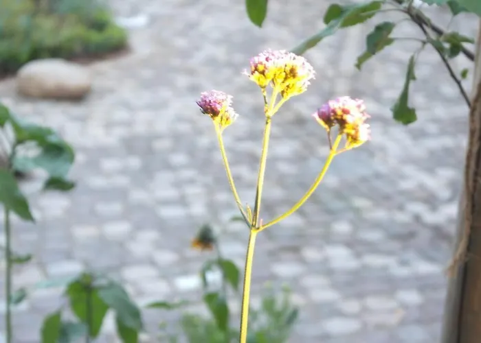 Gute Lage, 3 Raeder, Gruen, Familien *